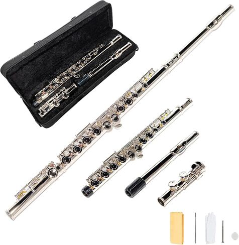 LeSage Closed Hole C Flute 16 Key Blue Flute for Beginner Starter Student with Case, Maintenance Kit, Cleaning Cloth, Band C Foot Offset G Y-arm in Saudi Arabia