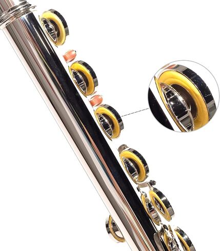 LeSage Closed Hole C Flute 16 Key Blue Flute for Beginner Starter Student with Case, Maintenance Kit, Cleaning Cloth, Band C Foot Offset G Y-arm in Saudi Arabia
