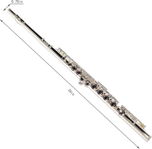 LeSage Closed Hole C Flute 16 Key Blue Flute for Beginner Starter Student with Case, Maintenance Kit, Cleaning Cloth, Band C Foot Offset G Y-arm in Saudi Arabia