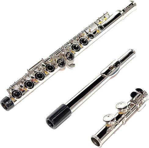 LeSage Closed Hole C Flute 16 Key Blue Flute for Beginner Starter Student with Case, Maintenance Kit, Cleaning Cloth, Band C Foot Offset G Y-arm in Saudi Arabia