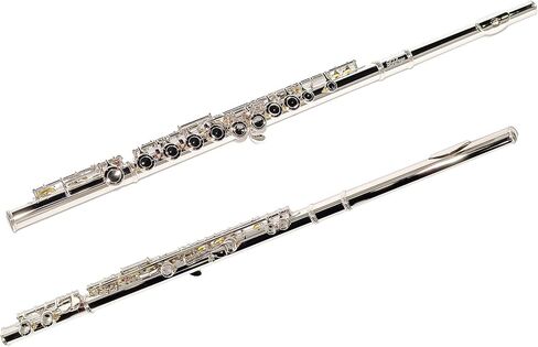 LeSage Closed Hole C Flute 16 Key Blue Flute for Beginner Starter Student with Case, Maintenance Kit, Cleaning Cloth, Band C Foot Offset G Y-arm in Saudi Arabia