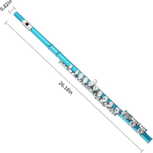 LeSage Closed Hole C Flute 16 Key Blue Flute for Beginner Starter Student with Case, Maintenance Kit, Cleaning Cloth, Band C Foot Offset G Y-arm in Saudi Arabia