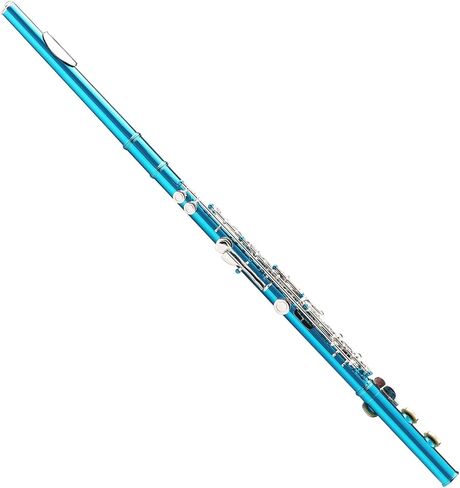 LeSage Closed Hole C Flute 16 Key Blue Flute for Beginner Starter Student with Case, Maintenance Kit, Cleaning Cloth, Band C Foot Offset G Y-arm in Saudi Arabia