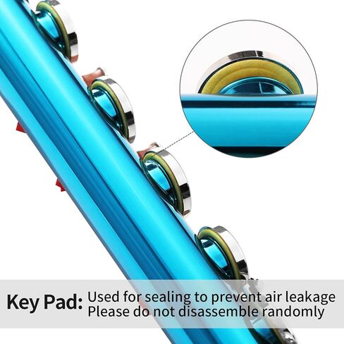 LeSage Closed Hole C Flute 16 Key Blue Flute for Beginner Starter Student with Case, Maintenance Kit, Cleaning Cloth, Band C Foot Offset G Y-arm in Saudi Arabia