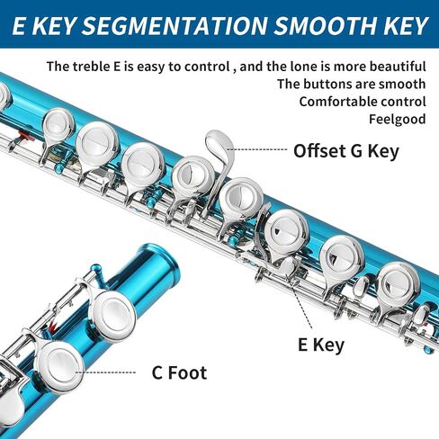 LeSage Closed Hole C Flute 16 Key Blue Flute for Beginner Starter Student with Case, Maintenance Kit, Cleaning Cloth, Band C Foot Offset G Y-arm in Saudi Arabia