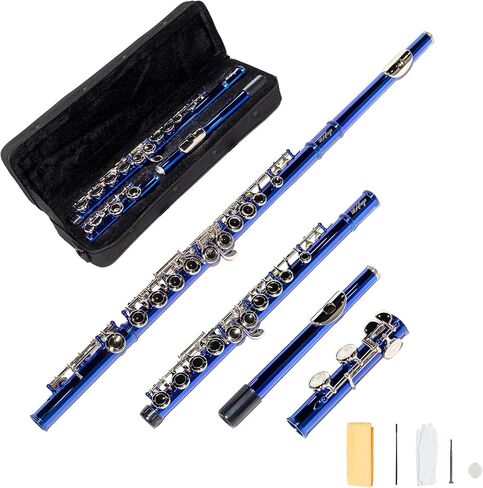 Lesage مغلق ثقب C الفلوت 16 Key Blue Flute للطالب المبتدئين مع العلبة ، مجموعة الصيانة ، قماش التنظيف ، النطاق C الإزاحة in Kuwait