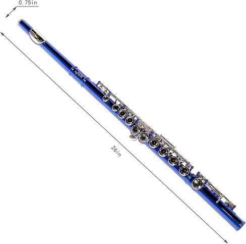 Lesage مغلق ثقب C الفلوت 16 Key Blue Flute للطالب المبتدئين مع العلبة ، مجموعة الصيانة ، قماش التنظيف ، النطاق C الإزاحة in Kuwait