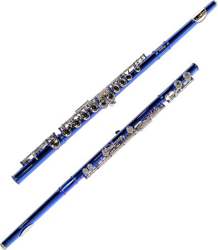 Lesage مغلق ثقب C الفلوت 16 Key Blue Flute للطالب المبتدئين مع العلبة ، مجموعة الصيانة ، قماش التنظيف ، النطاق C الإزاحة in Kuwait