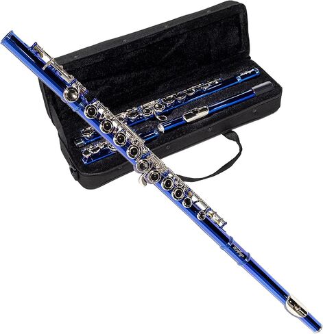 Lesage مغلق ثقب C الفلوت 16 Key Blue Flute للطالب المبتدئين مع العلبة ، مجموعة الصيانة ، قماش التنظيف ، النطاق C الإزاحة in Kuwait