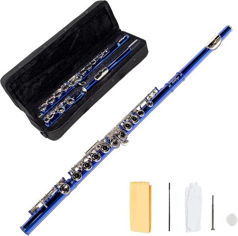 Lesage مغلق ثقب C الفلوت 16 Key Blue Flute للطالب المبتدئين مع العلبة ، مجموعة الصيانة ، قماش التنظيف ، النطاق C الإزاحة in Kuwait
