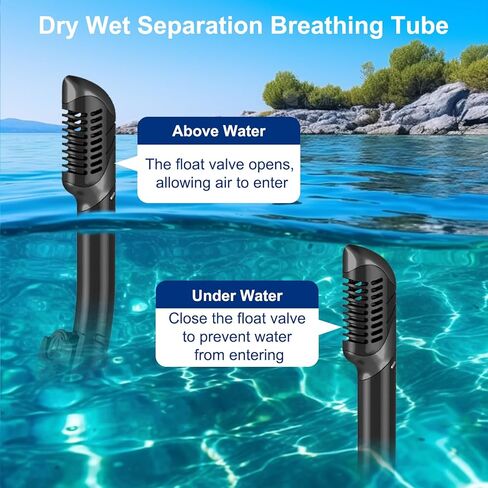 Snorkel مجموعة من البالغين ، حزم الغطس البانورامية المضادة للطفر مع نظارات الغوص الجافة والسباحة للغوص والسباحة والغط in Saudi Arabia
