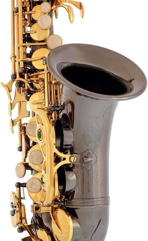 Black Nickel-Gold Keys Bb B-Flat Curved Soprano Saxophone Sax Lazarro+11 Reeds,Care Kit~24 COLORS Available-320-BN in Saudi Arabia