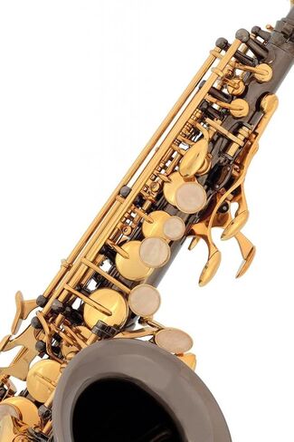 Black Nickel-Gold Keys Bb B-Flat Curved Soprano Saxophone Sax Lazarro+11 Reeds,Care Kit~24 COLORS Available-320-BN in Saudi Arabia