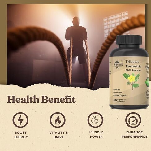ملحق Tribulus Terrestris للرجال والنساء الداعم للطاقة والحيوية والقدرة على التحمل والأداء (حزمة 60 كبسولة) in Kuwait