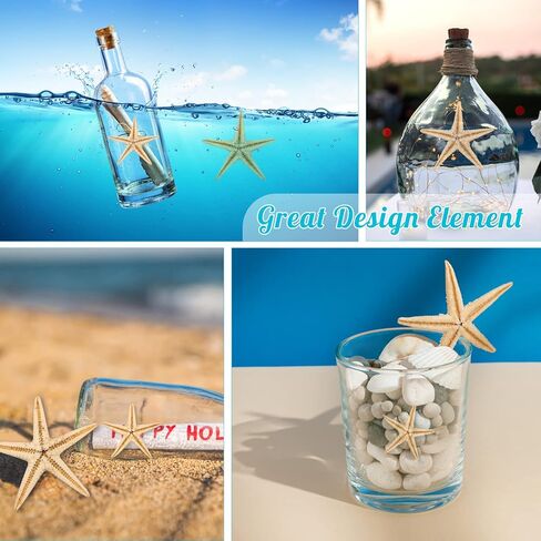 200 قطعة من نجم البحر الصغير، نجم البحر الصغير الأصفر المسطح مع صندوق بلاستيكي مستطيل، صدف نجم البحر الصغير المزخرف للشاطئ/الزفاف/الحرف اليدوية/الهدايا (0.4-1 بوصة) in Kuwait