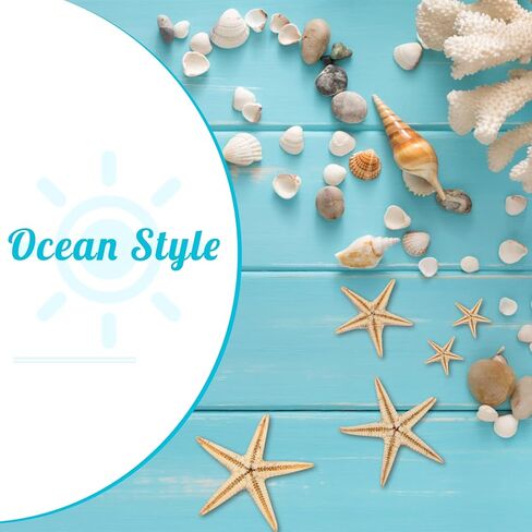 200 قطعة من نجم البحر الصغير، نجم البحر الصغير الأصفر المسطح مع صندوق بلاستيكي مستطيل، صدف نجم البحر الصغير المزخرف للشاطئ/الزفاف/الحرف اليدوية/الهدايا (0.4-1 بوصة) in Kuwait