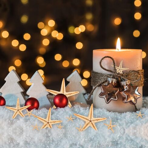 200 قطعة من نجم البحر الصغير، نجم البحر الصغير الأصفر المسطح مع صندوق بلاستيكي مستطيل، صدف نجم البحر الصغير المزخرف للشاطئ/الزفاف/الحرف اليدوية/الهدايا (0.4-1 بوصة) in Kuwait