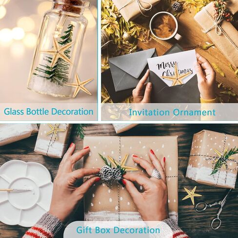 200 قطعة من نجم البحر الصغير، نجم البحر الصغير الأصفر المسطح مع صندوق بلاستيكي مستطيل، صدف نجم البحر الصغير المزخرف للشاطئ/الزفاف/الحرف اليدوية/الهدايا (0.4-1 بوصة) in Kuwait