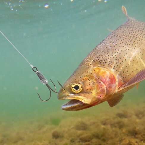 Snagging Hooks Snagging Weighted Treble Hooks, 4pcs Weighted Fishing Hooks Weighted Large Treble Bunker Snag Hooks for Baitfish Trout Bass Fishing 1.1oz 1.4oz 2.1oz 2.8oz in Saudi Arabia
