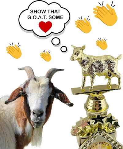 13 "جائزة كبيرة تخصيص كأس الماعز مع نقش على لوحة شخصية ، جوائز مكاتب الماعز المضحك ،" أعظم في كل العصور "للبطل ، أمي ، أبي ، زميل في العمل ، رئيس ، فائز كرة القدم الخيالي in Kuwait