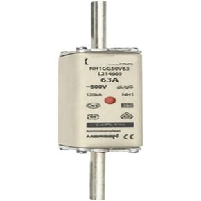 NH1GG50V63 NH1GG50V80 NH1GG50V100 FUSE (الحجم: NH1GG50V100) in Kuwait