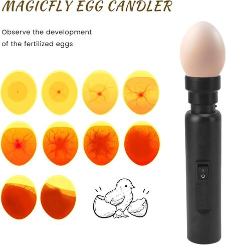 توبونوند بيض كاندلر لبيض الدجاج - مستقر USB ABS LED البارد LED EGGES in Saudi Arabia