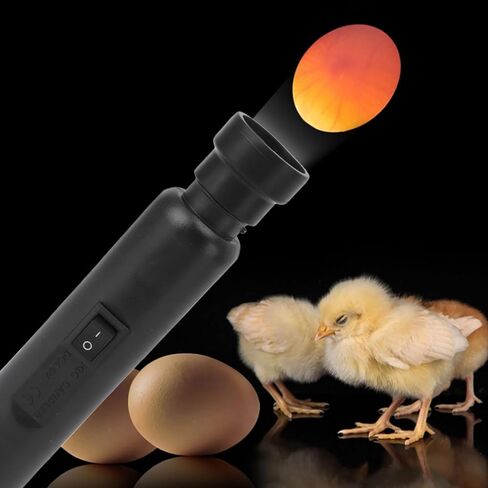 توبونوند بيض كاندلر لبيض الدجاج - مستقر USB ABS LED البارد LED EGGES in Saudi Arabia