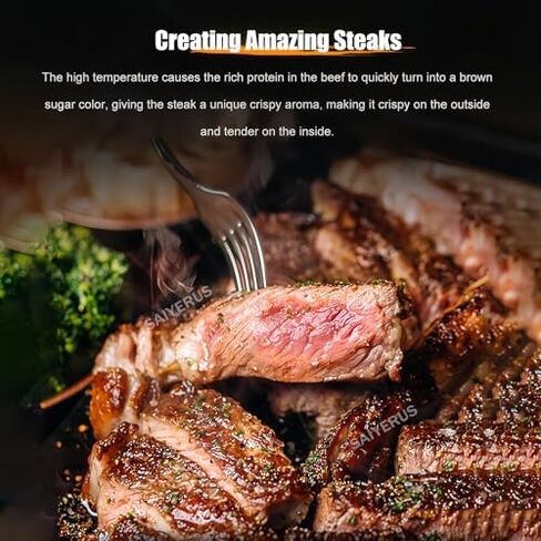 Electric Steak Broiler Oven, Commercial Electric Oven with Time and Temperature Control, Max Temperature 800℃ (A) in Saudi Arabia
