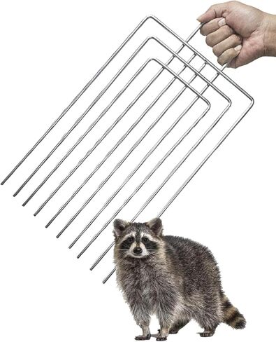 فخ قفص مقسم المقسم المقاوم للصدأ لمدة 10 "و 12" مصائد واسعة وأقفال أقفاص قفصات حية (12 بوصة) in Kuwait