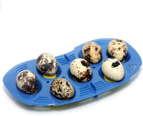 R-COM RCOM MINI 7 QUAIL EGG TRAIN in Kuwait