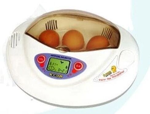 R-COM RCOM MINI 7 QUAIL EGG TRAIN in Kuwait