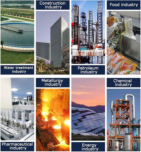 iDili DN25 Flange Gas Source Distributor 304 Stainless Steel Corrosion Resistance and High-Temperature Resistance in Saudi Arabia