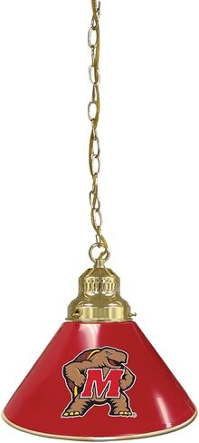 HBS University of Maryland Single Shade Pendant Light in Saudi Arabia
