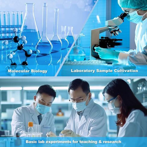 LB مرق الثقافة المتوسطة ، زجاجة مربعة 500 مل ، تعقيم ، (1x) مرق LB جاهز للاستخدام ، لاستخدام المختبر ، 500 مل/ زجاجة in Kuwait