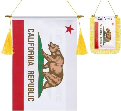 2 Pack Texas Wall Flags Banner, Mini Texas Hanging car window Flag Satin Finish Heavy Duty Fabric Patriotic Flags for School Classroom Club Car Rearview Mirror Decoration in Saudi Arabia