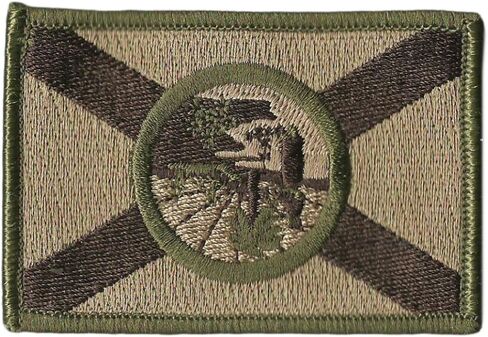 Gadsden and Culpeper Florida Tactical Flag Patch (Multitan) in Saudi Arabia