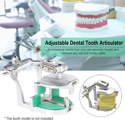 Adjustable Dental Tooth Articulator, Articulator Dental Lab Tool with Screw Driver, Assists in Prosthodontic Appliances, Suitable for Dental Laboratory Dentists and Students Learning in Saudi Arabia