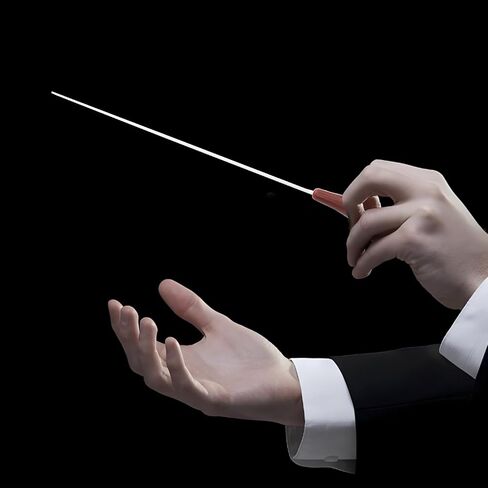15 Inch Conducting Baton with Resin Handle Lightweight Drum Major Baton with Case, Black in Saudi Arabia