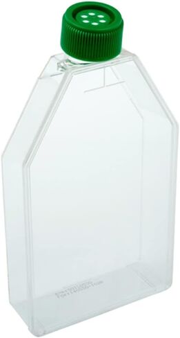 Celltreat 229351 قارورة ثقافة الأنسجة المعالجة ، غطاء تنفيس ، معقمة ، سعة 600 مل ، حجم 182 سم 2 (حالة 40) in Saudi Arabia