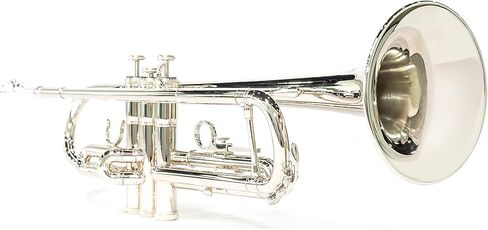 LeSage Student Trumpets Standard Bb Brass Trumpet for Beginner Black Trumpet b Flat with 7c Mouthpiece in Kuwait