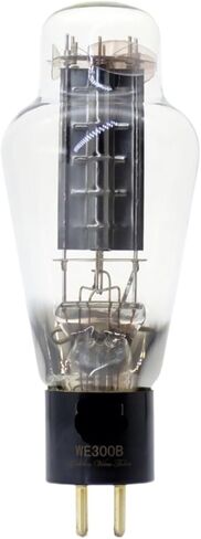 Tube WE300B WE 300B ترقية 300BT 300BN 4300B 7300B HIFI AUDIO TUBE AUDPLIFIER (4pcs متطابقة) in Saudi Arabia