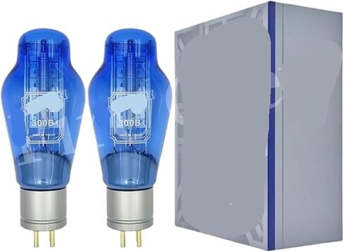 Vacuum Tube 300B Blue Replaces 300BN WE300B 300BT 4300B 7300B HiFi Audio Tube Amplifier DIY Matching(1Pair Matched) in Saudi Arabia
