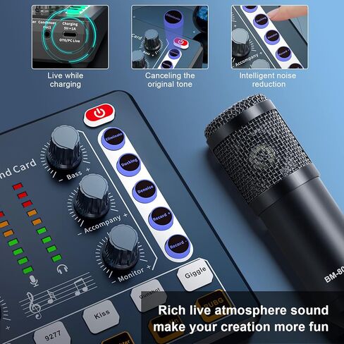 Podcast Equipment Bundle Audio Interface, DJ Mixer, BM-800 Condenser Microphone, Studio Equipment with Mic Arm, Bluetooth for Streaming, Voice Over, Singing, PC in Saudi Arabia