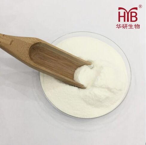 Catalase, katalase, 10000 u/g high Activity Industrial Grade Enzyme Preparation, Industrial additive 1000 Grams in Kuwait