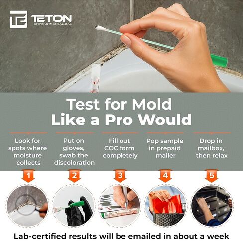 مجموعة اختبار العفن-يمكن أن تتضمن رسوم المختبر ، 1 مسحة الكشف عن أكثر من 20 نوعًا من أنواع القوالب وحبوب اللقاح ، دليل سهل الاستخدام ، اختبار مهني من الدرجة المهنية in Kuwait