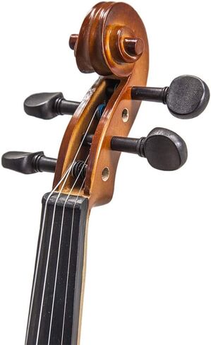 Paititi Artist-100 Student Violin Starter Kit with Brazilwood Bow Lightweight Case, Pitchpipe, Extra Strings and Rosin (1/10) in Kuwait