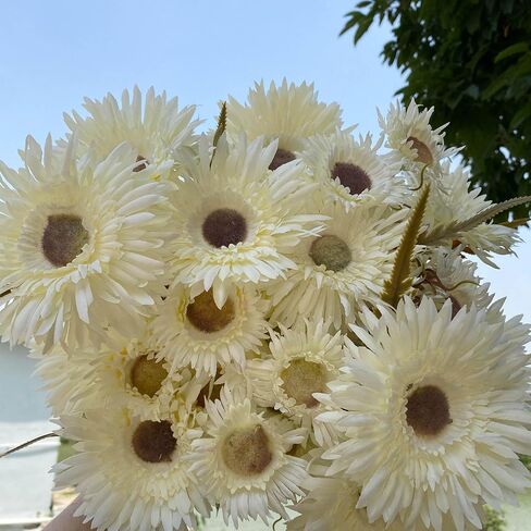 5 Bunches 16 inch - Realistic White Artificial Silk Daisy, Faux Wildflowers Bouquets with Stems for DIY Flower Arrangement Home Garden Wedding Decoration in Saudi Arabia
