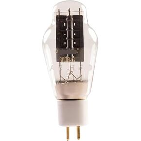 300B-G 300BG TUBE AUDIO AUDIO استبدال 300B WE300B 300BT 7300B 300BN APPLIFIER TUBE DIY (4PCS 300B-G) in Saudi Arabia