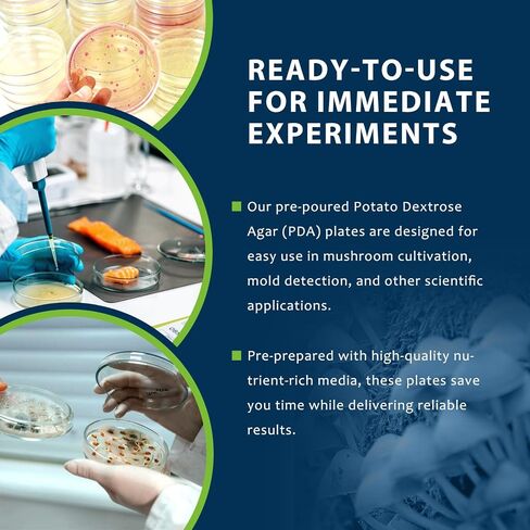 Potato Dextrose Agar(PDA) Plates for Mushroom Cultivation, Mold Detection 10 Pack, and Science Projects – Pre-Poured Petri Dishes in Kuwait