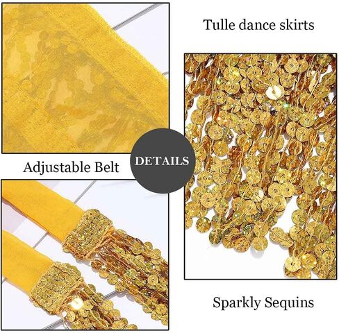 EARENT Boho Sequin Skirts Belly Dance Hip Skirt Tassel Fringe Hip Scarf Rave Party Performance Costum for Women (A-Silver) in Kuwait